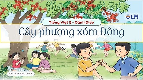 Cây phượng xóm Đông - Tiếng Việt 5 Cánh Diều