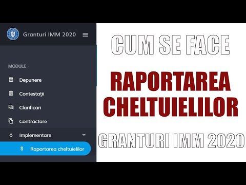 Cum se face Raportarea Cheltuielilor  Granturi IMM 2020/2021