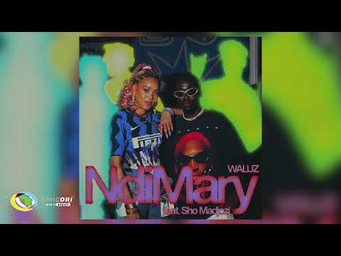 YouTubeでWaluz the president - Ndi Mary [Feat. Sho Madjozi] (Official Audio)を視聴