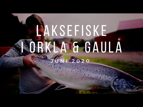 Video: Juni Fiske