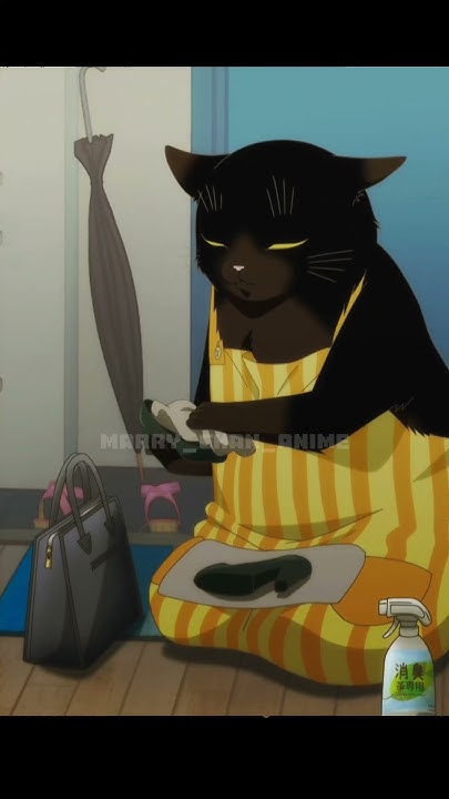 КОТ ДОМОХОЗЯИН УХАЖИВАЕТ ЗА ХОЗЯЙКОЙ😂🐈‍⬛ #анимемомент #anime - YouTube