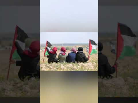 نشيد كشفي جينا من كل مكان جينا نغني أحسن كلام جمعية كشافة ومرشدات الإسراء مجموعة جنين
