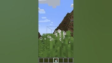 ONLY THE SHULKERS SHELL CAN BECOME INVISIBLE:MINECRAFT #minecraft #minecraftshorts #facts