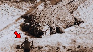 Unbelievable Giants: TOP 13 Largest Crocodiles in the World!