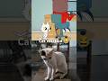 #cat #animation #cartoon #funny #shorts #cats #funnyvideo #catlover #collab #funnycats 🙀😂🤣🥰❤️