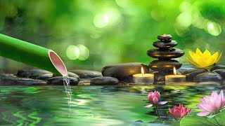 Relaxing Piano Music & Water Sounds, Bamboo, Calming Music,Meditation Music, Nature Sounds, Sleeping