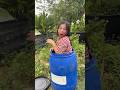 Girl’s Makeup Transformation… Mom Doesn’t Recognize Her!#trending #viralvideo