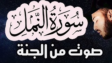 قراءة هادئة ❤️بلال دربالي| سورة النمل❤️