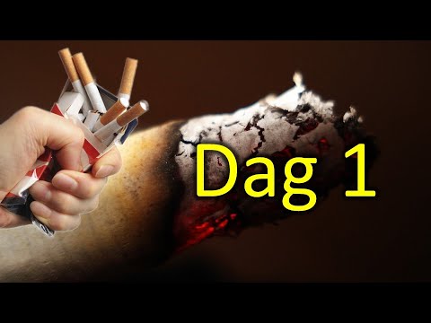 Video: Ophou Rook. Neurofisiologie En Sielkunde