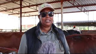 Kintyre Smart Dairy Farm in Harare Zimbabwe. Dr. Nathaniel Makoni and Dr. Eunah Makoni.