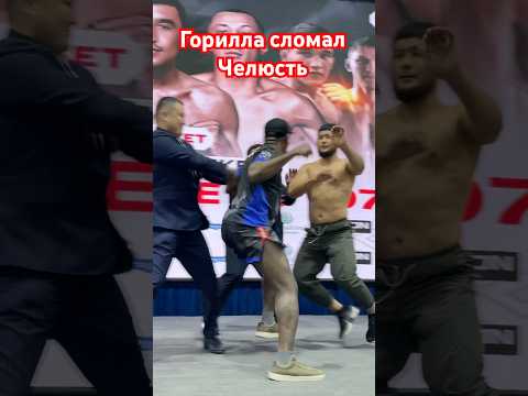 Горилла сломал челюсть брозилцу #бокс #фудфотограф #мма #съемкифильма #бои #фотографалматы #бой