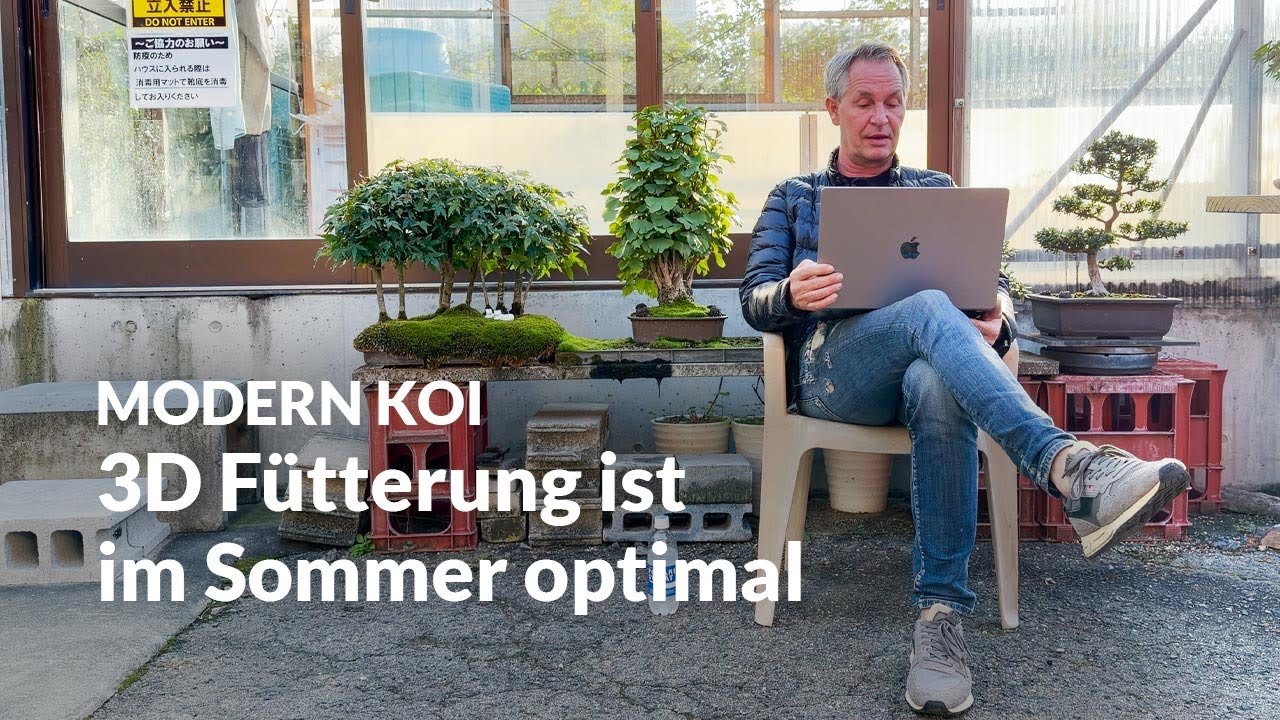 Wann swim, wann sink wann mix füttern? | Modern Koi Blog #7718