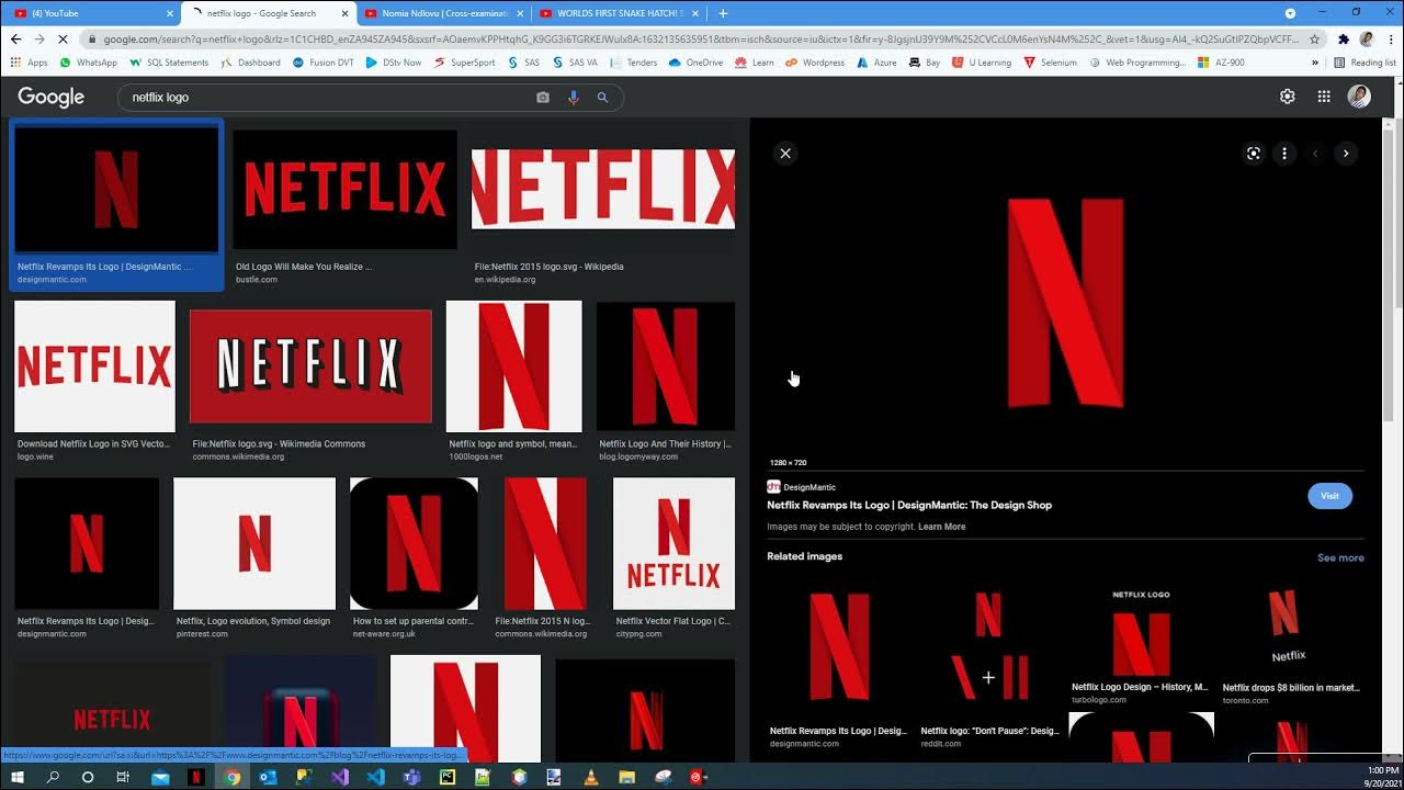 File:Netflix 2015 logo.svg - Wikipedia