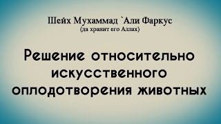 Шейх Мухаммад 'Али Фаркус | Решение относительно искусственного оплодотворения животных Шейх Мухаммад 'Али Фаркус | Решение относительно искусственного оплодотворения животных