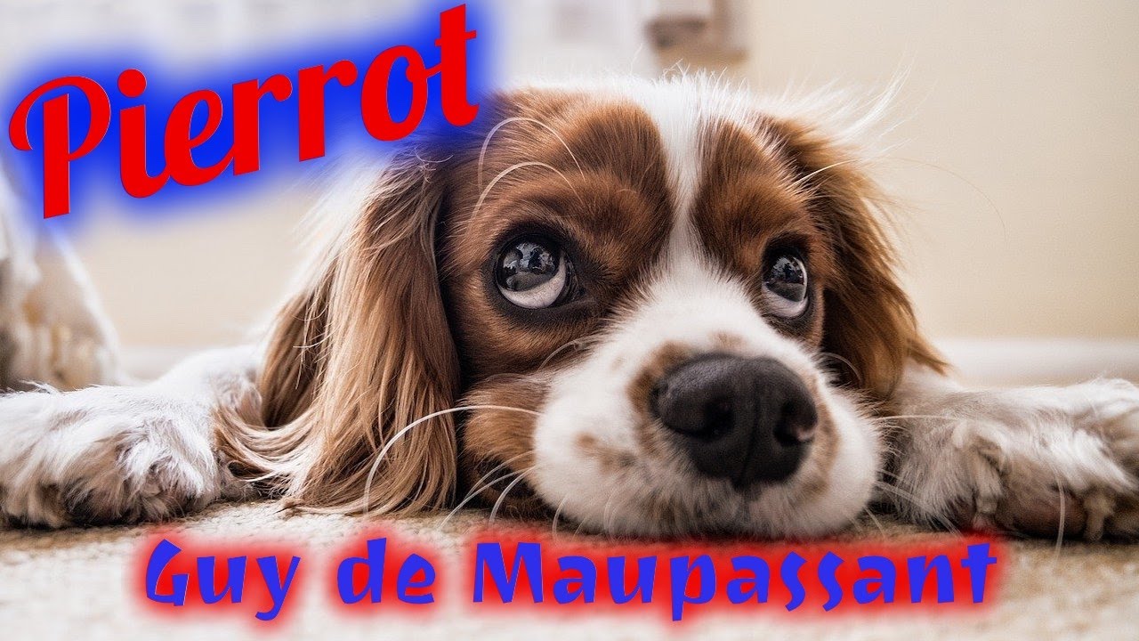 Livre audio : Pierrot, Maupassant - YouTube