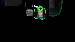 #electronicmusic #art #beats #cat #bgmi