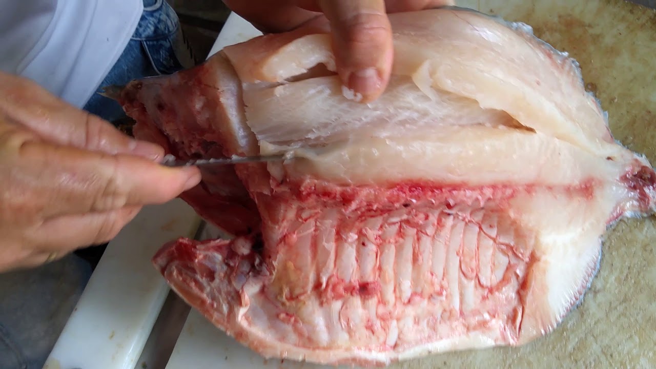 Retirando espinha de caranha