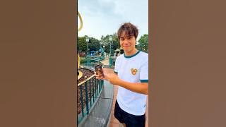 Will My iphone Get Stolen At Disneyland?