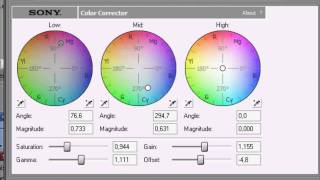 Sony Vegas Tutorial l Coloring #9