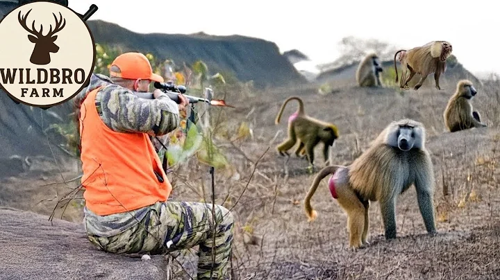 How Do Hunters and American Farmers Deal With Millions of Baboons and Wild Boar in Texas