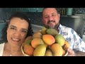 Hagamos Mangos  en Almíbar