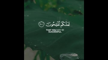 قرآن كريم بصوت القارئ سعود الشريم تلاوة هادئ ارح قلبك 💚🌿حالة واتس إسلامية /استوري انستغرام