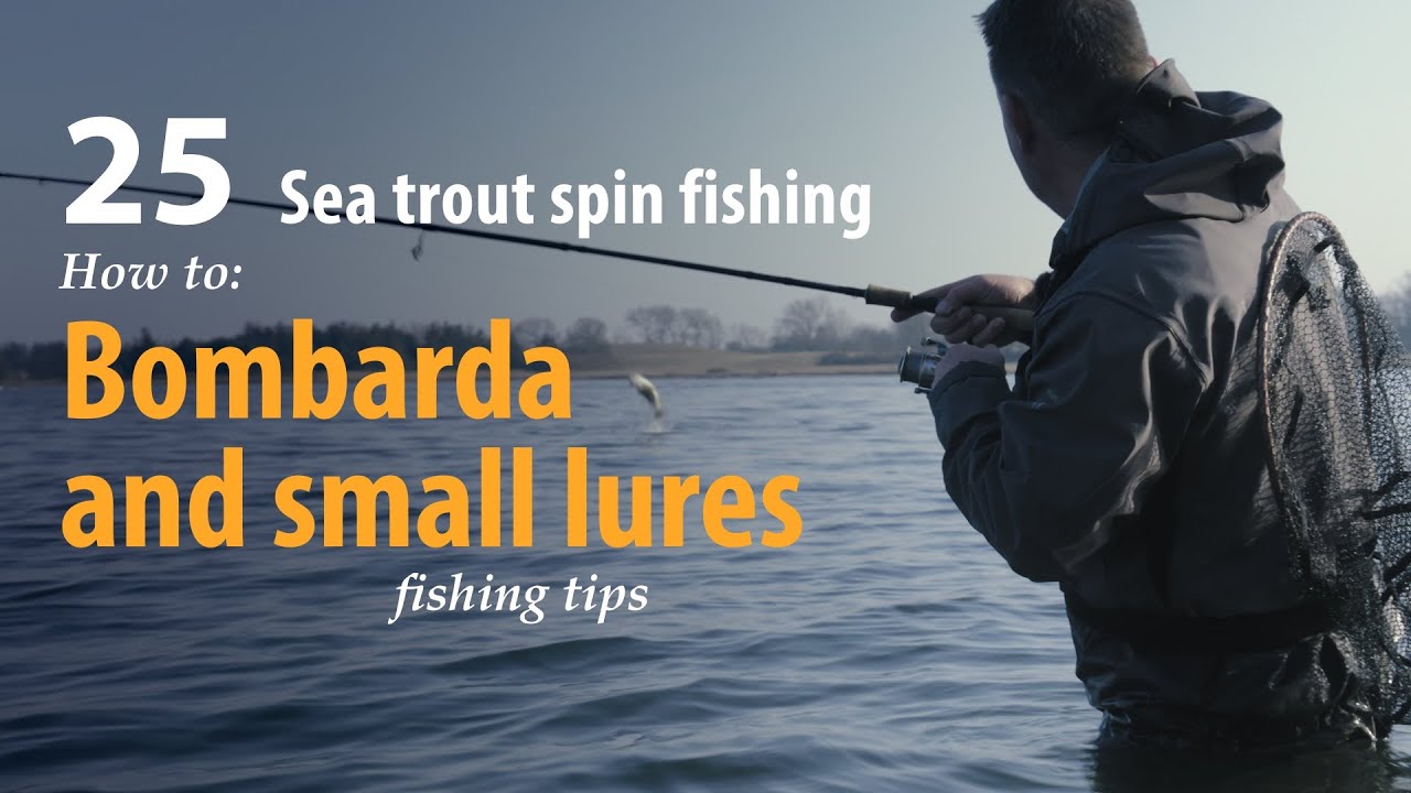 How to • Sea trout Spin fishing • Bombarda and small lures • fishing tips YouTube