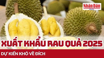 Xuất khẩu rau quả khó về đích | Báo Nhân Dân