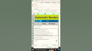 Mastering Automatic Borders in Excel: Short and Simple Tutorial #excel  #TIS #exceltricks