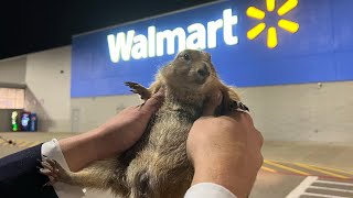 Big Ounce Robs A Walmart Cops Called