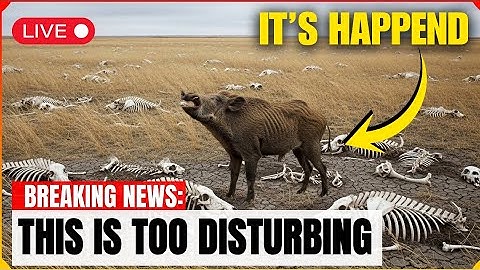 Texas’s WILD HOG ERADICATION Footage Reveals the Aftermath Nobody Expected | New Project