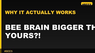 Bee Brain Bigger Than Yours?!