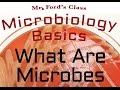 Microbiology Introduction Quiz