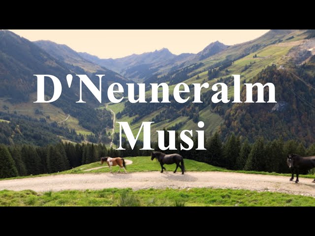 D Neuneralm Musi - Schachenmarsch