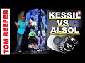 Which Light Grows Coral Faster? (KESSIL A80 VS. AI PRIME SOL)- Results