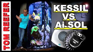 Which Light Grows Coral Faster? (KESSIL A80 VS. AI PRIME SOL)- Results