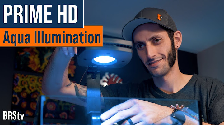 So Popular. So Compact. So Affordable. AI Prime 16HD Spotlight, Unboxing and Review.