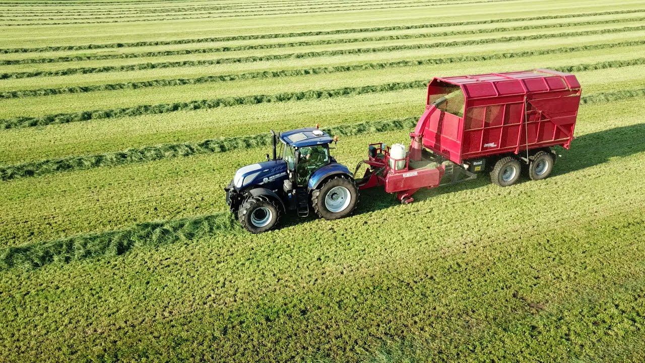 Silage | Stommen Luttra 2021 | 4K