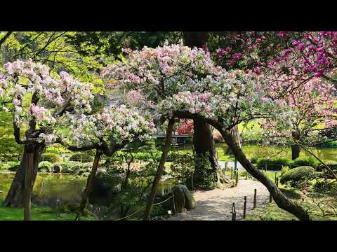 Parc Oriental de Maulévrier - Printemps 2023