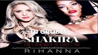 Download lagu Shakira ft. Rihanna - Can't Remember to Forget You(DJ GRUBES Mash-Up)