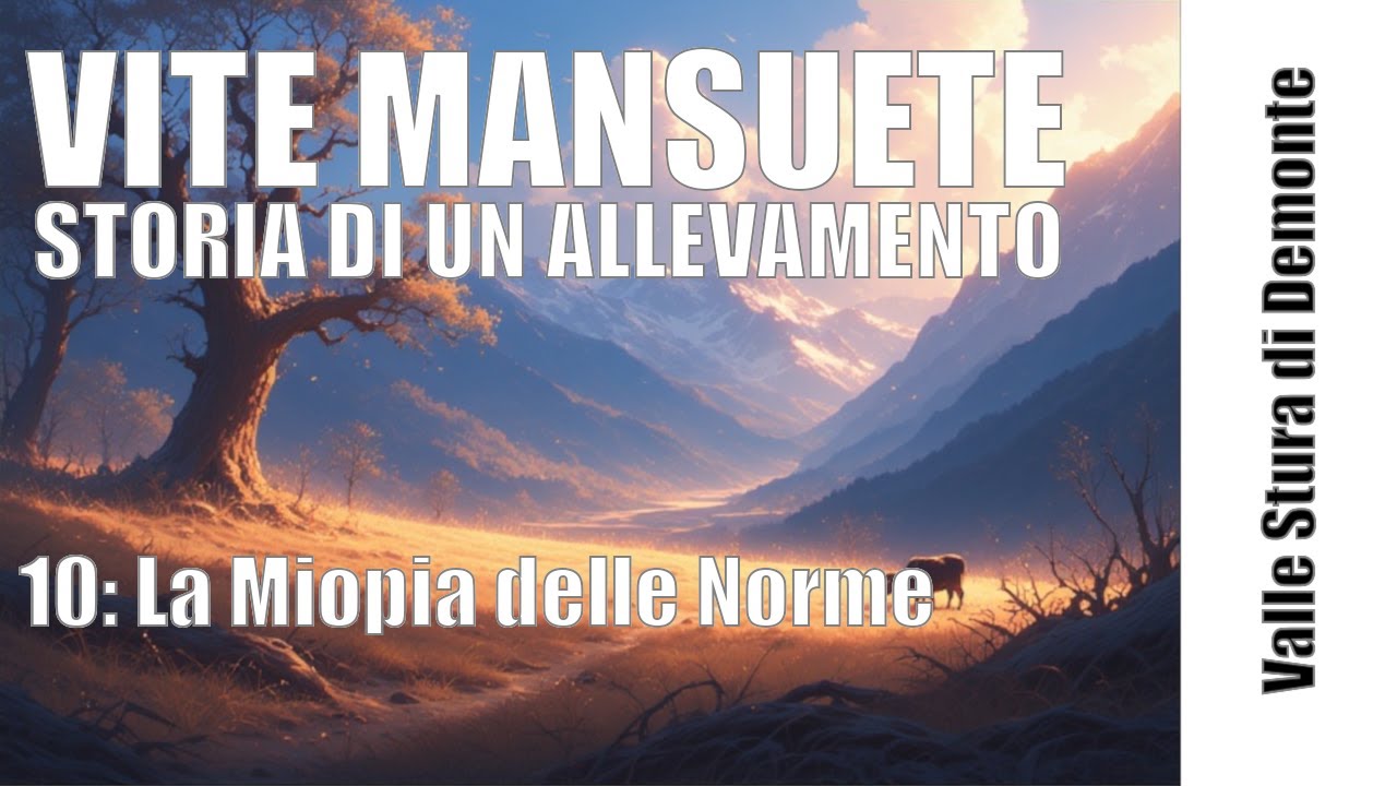 Episodio 10: La Miopia delle Norme - Vite Mansuete