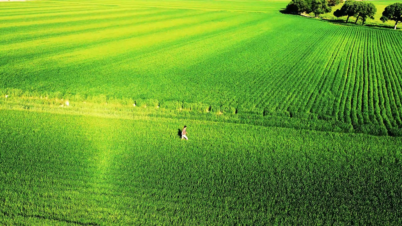 Iran - Tehran - Historical place by Mavic Mini (2)