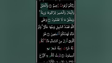 سورة النحل مكتوبة/ بصوت سعد الغامدي