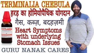 TERMINALIA CHEBULA | Heart Symptoms, Underlying Indigestion | गैस, ढीठ कब्ज़, बदहज़मी