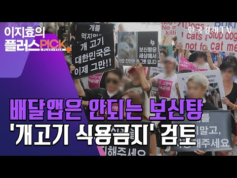 배달앱도 못 들어가는 보신탕…文 &quot;개고기 식용금지 검토&quot;/[이지효의 플러스 PICK]/한국경제TV뉴스