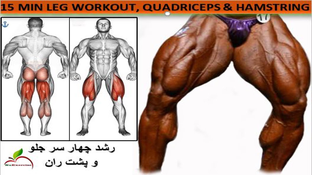 6 Best Leg Exercises, Leg workout, Gym Workout