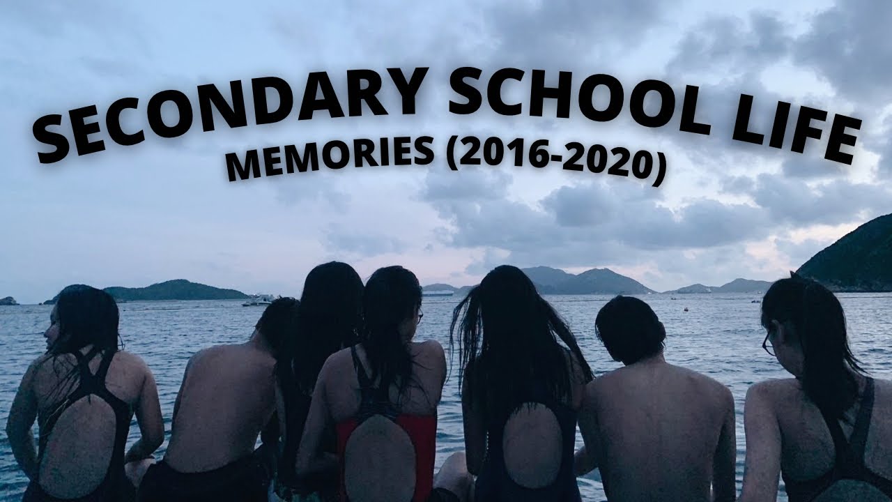 Memories in School (2016-2020)
