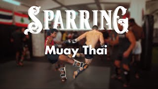 Sparring in Muay Thai: A Short Documentary screenshot 2