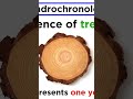 Uncovering the Surprising Science of Tree Rings What You Didn't Know!