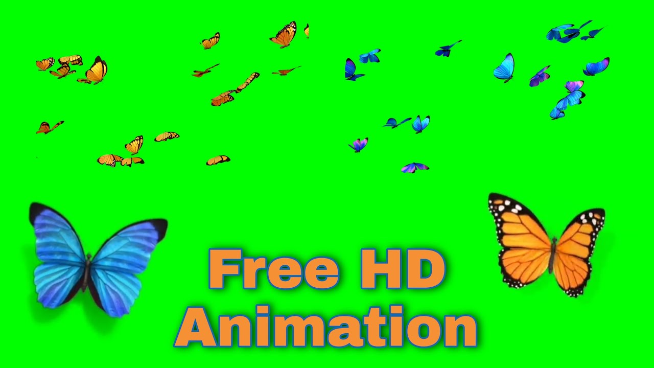 3d butterflies green screen video free butterfly green screen video
